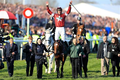 Grand National 2019: Tiger Roll wins the big race again at Aintree .